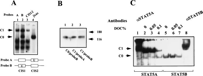 FIG. 5