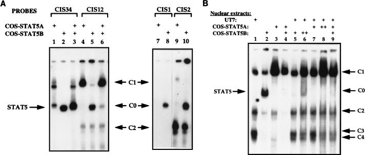 FIG. 4