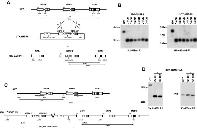 FIG. 3.