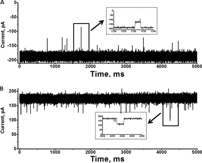 FIGURE 1.