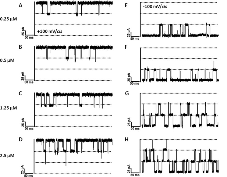 FIGURE 3.