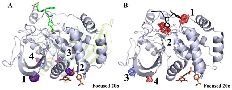 Figure 8