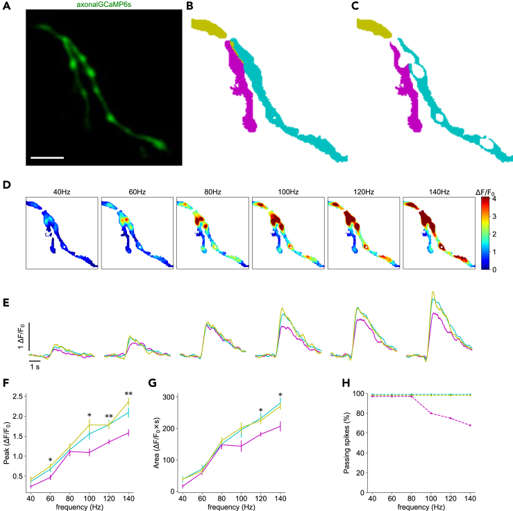 Figure 4