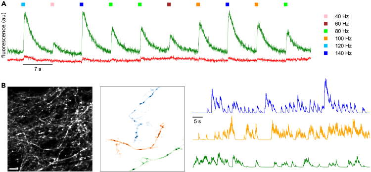 Figure 1