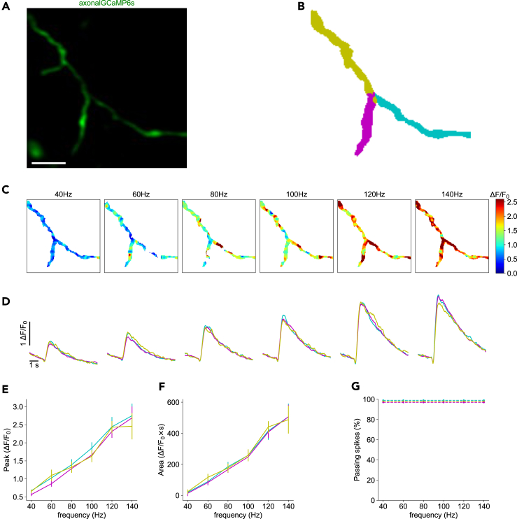 Figure 3