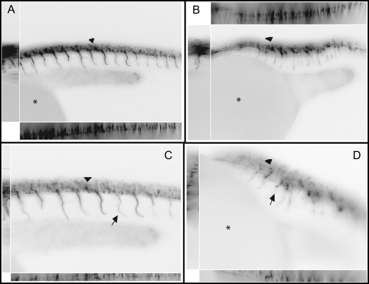 FIG. 7.