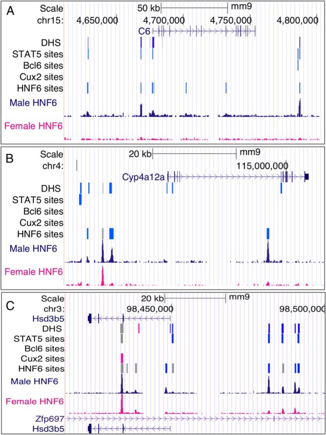 Figure 6.