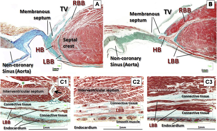 Figure 3