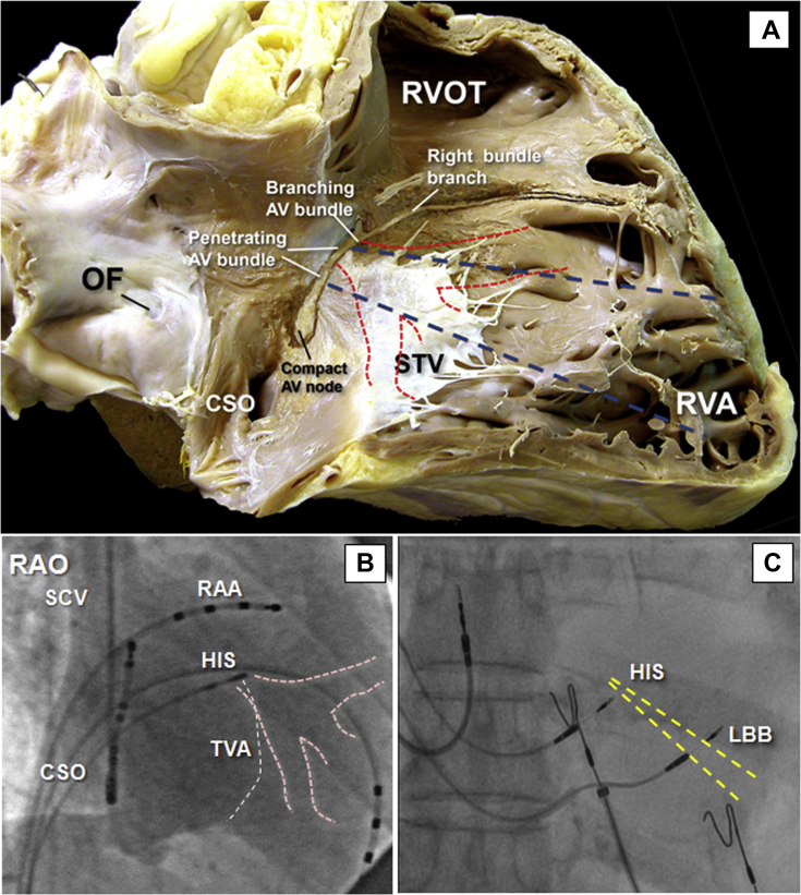 Figure 2