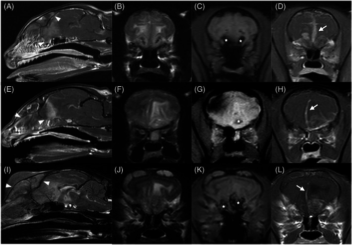 FIGURE 3