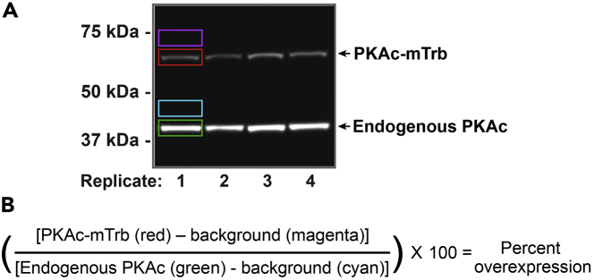 Figure 6