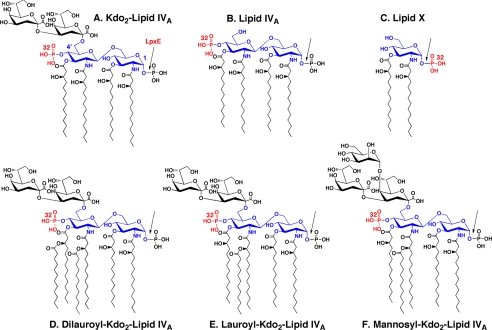 FIGURE 2.