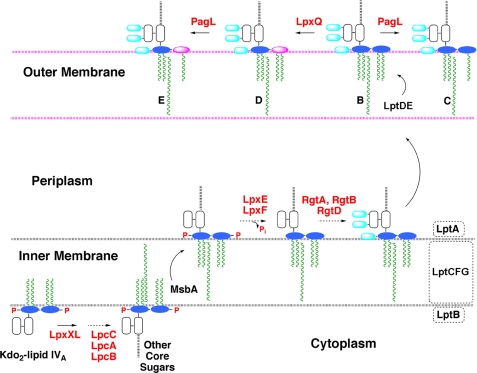 FIGURE 11.