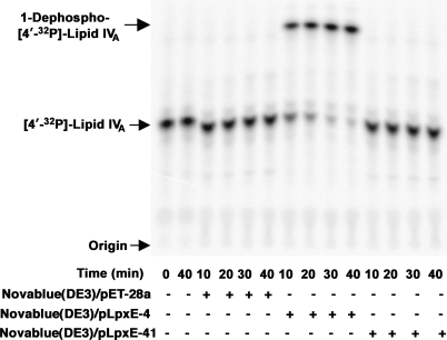 FIGURE 9.