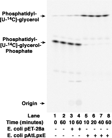 FIGURE 10.