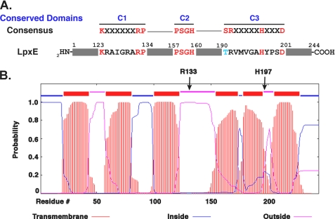 FIGURE 1.