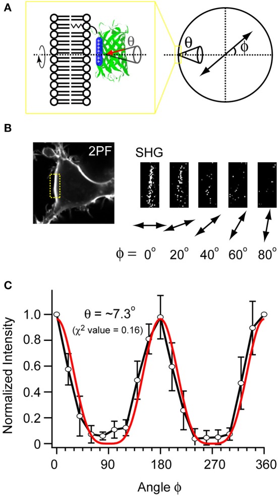 Figure 5