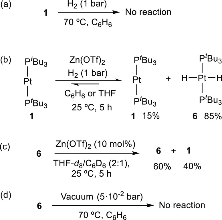 Scheme 4