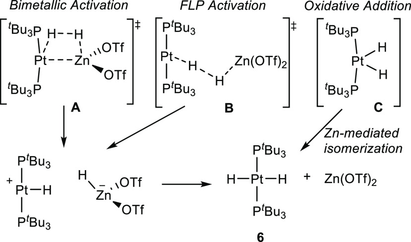 Scheme 5