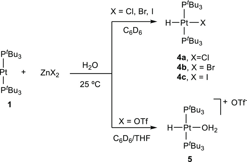 Scheme 3