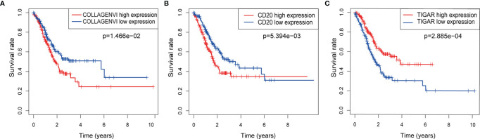 Screening Protein Prognostic Biomarkers for Stomach Adenocarcinoma ...