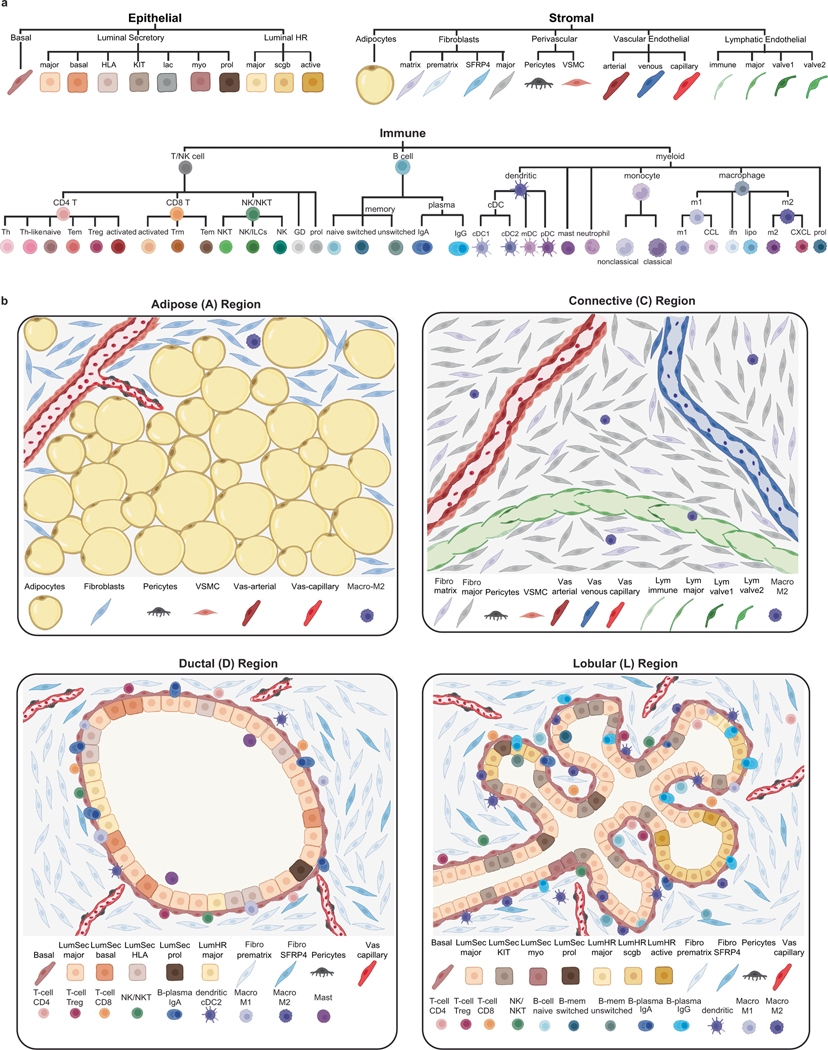 Extended Data Fig. 13 |