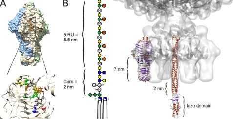 FIGURE 5.