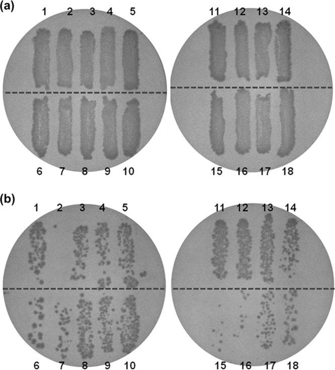 FIG 1