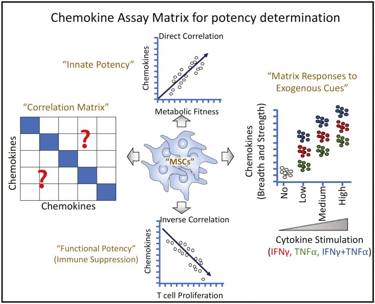 Graphical Abstract