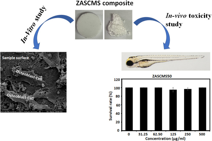 graphic file with name d3ra04555b-ga.jpg