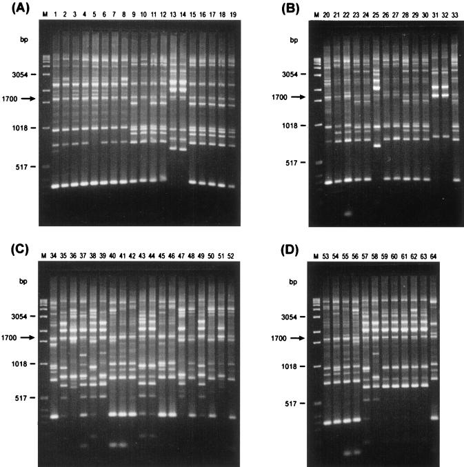 FIG. 1