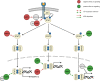 Fig. 2