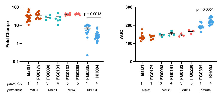 Scatterplots show fold change and AUC for various strains, including Mal31, FG0175, FG0098, FG0191, FG0132, FG0288, FG0305, and KH004. Plots compare PM2/3 copy numbers and PfCRT alleles, with statistical significance indicated.