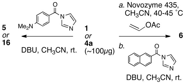 Scheme 1