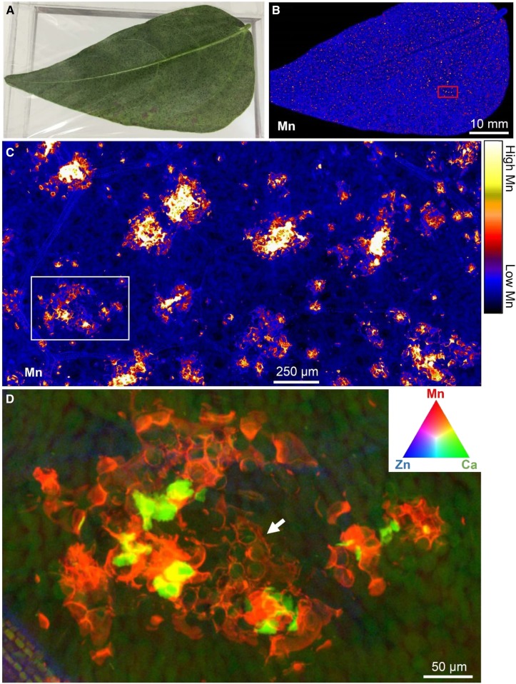 Figure 3.