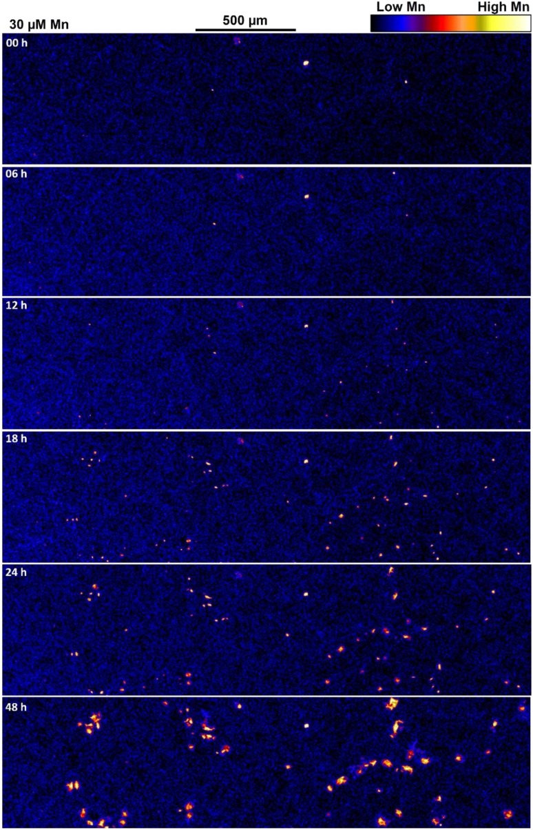 Figure 4.