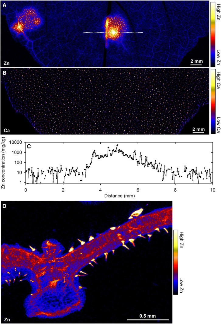 Figure 2.