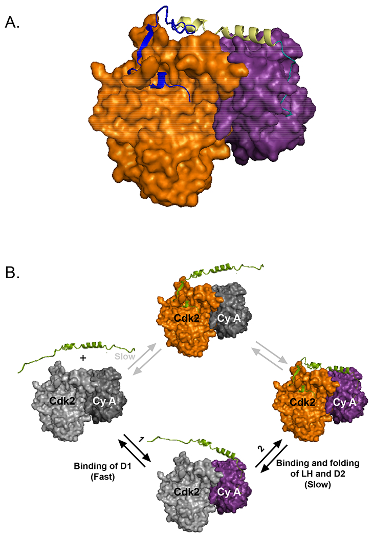 Figure 2.