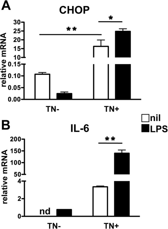 FIG 7