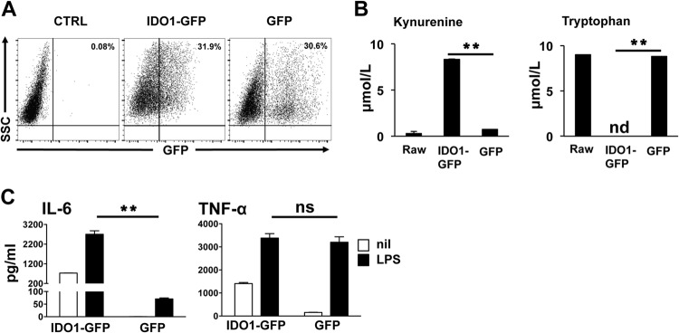 FIG 1