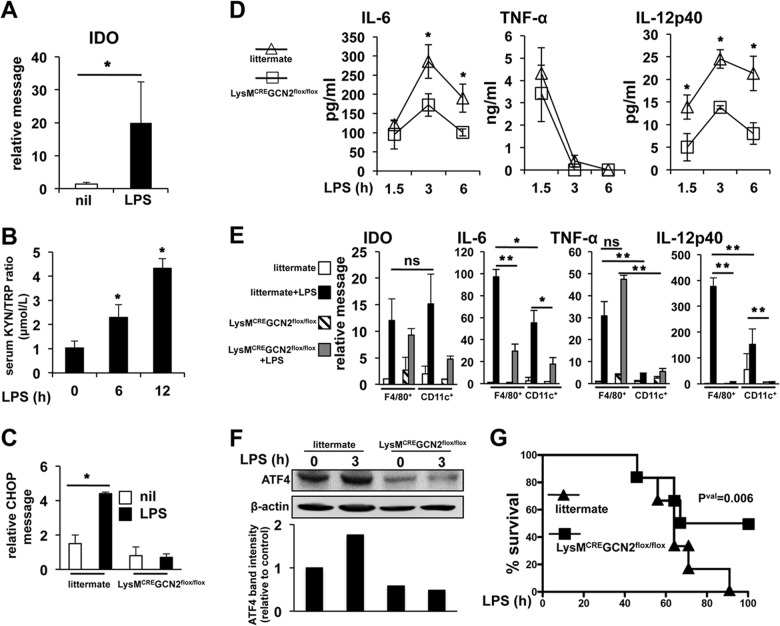 FIG 8