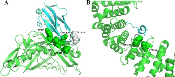 Fig. 8