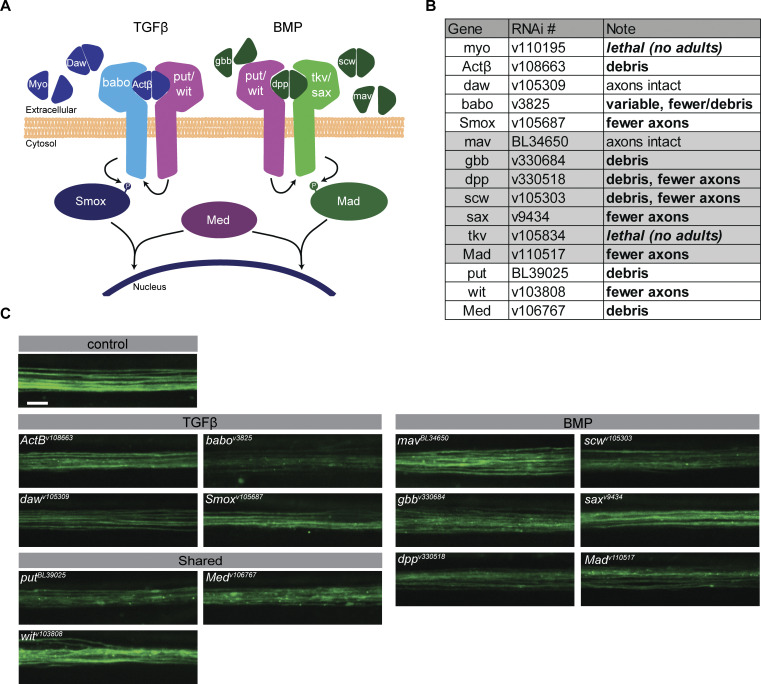 Figure 3.