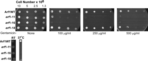 FIG. 2.