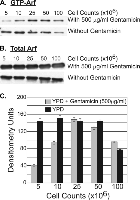 FIG. 6.