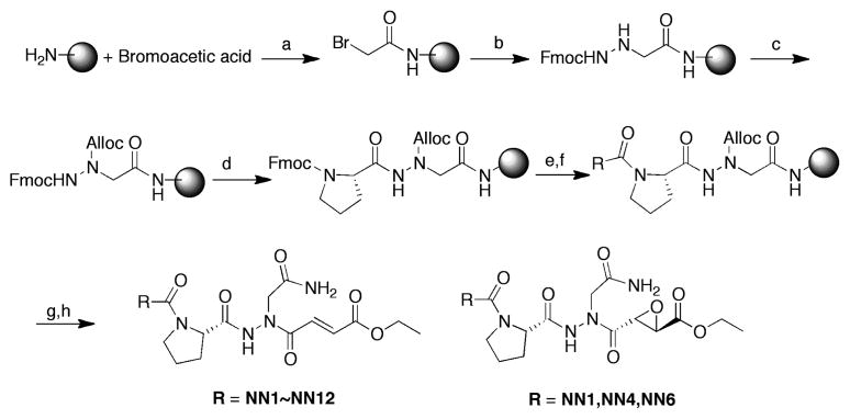 Scheme 1