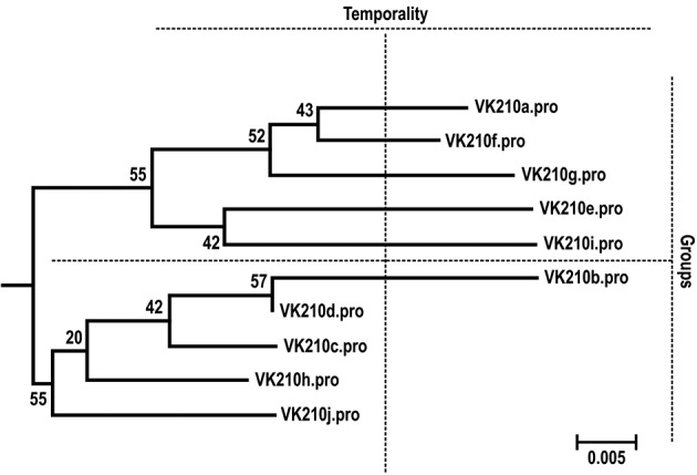 Fig. 3: