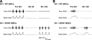 <b>FIG. 2.</b>
