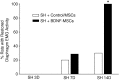 <b>FIG. 3.</b>