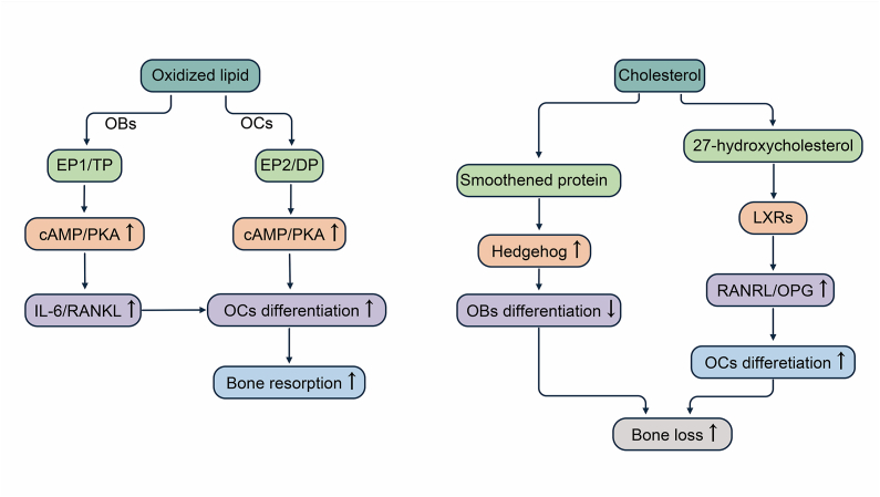 Figure 3